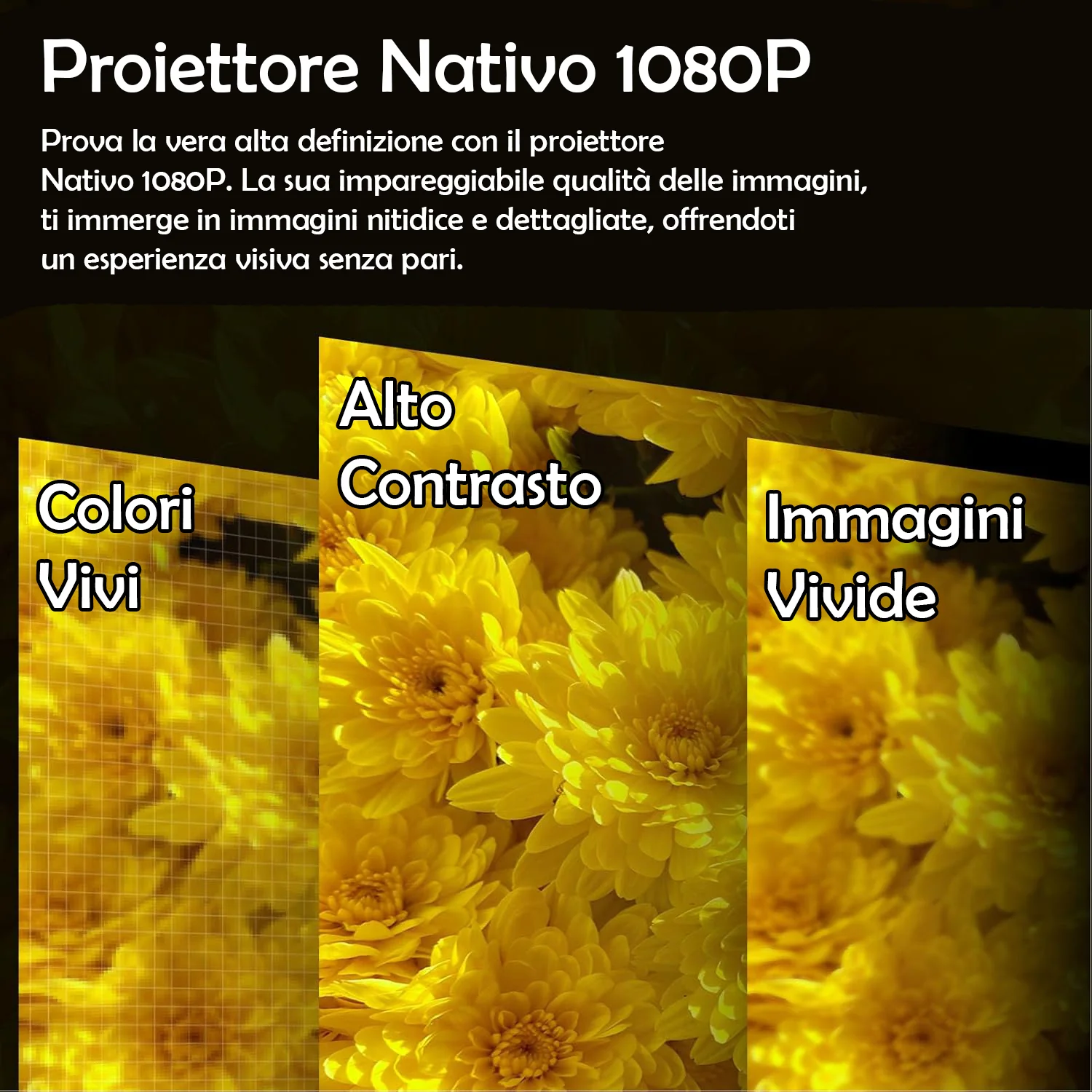 Immagine prodotto 6